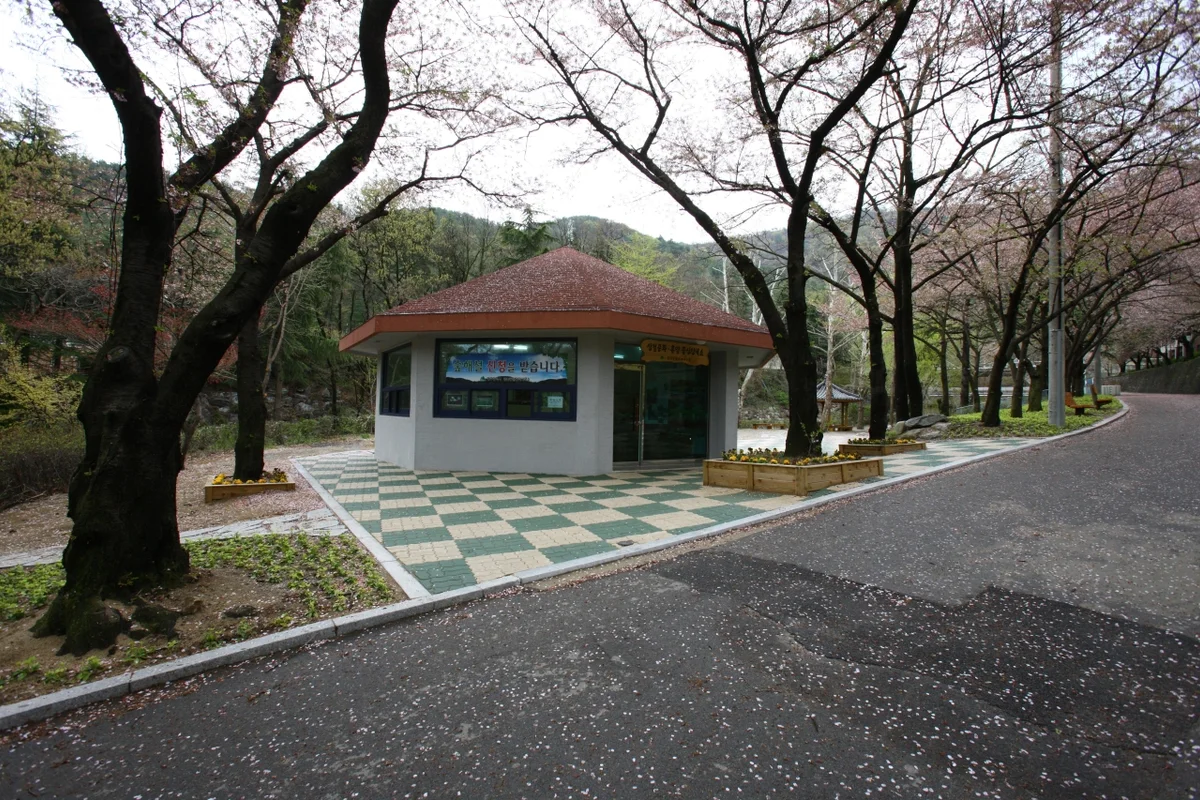 앞산 주차 편한 곳 (출처 : 한국관광공사)