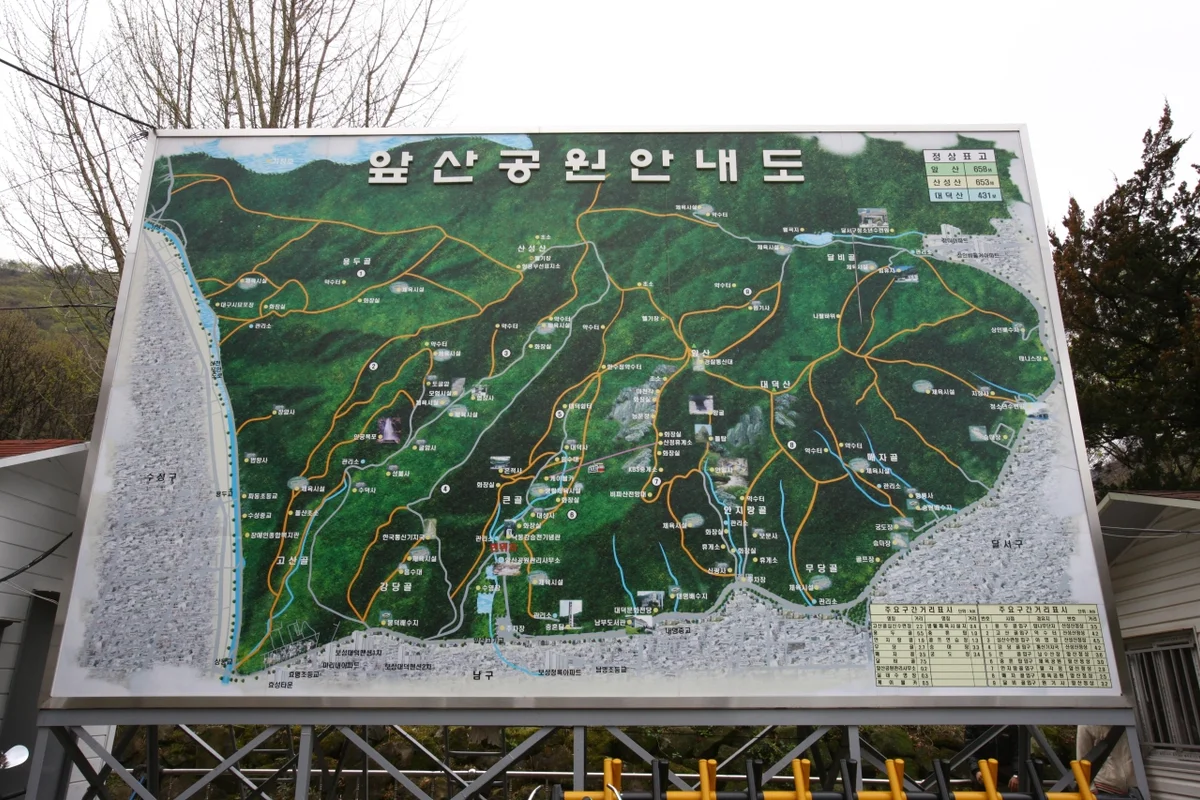 앞산 숲속 모험 놀이터 - 앞산 여행