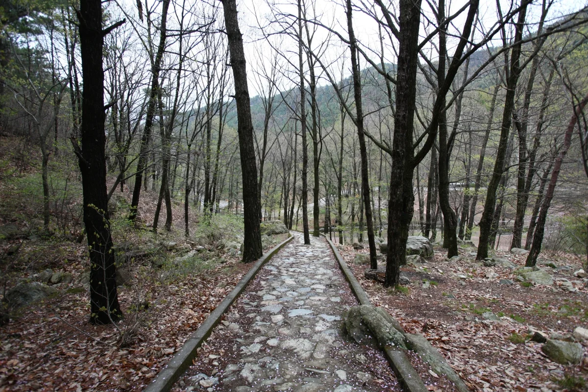 앞산공원 주차 편한 곳 - 앞산 여행