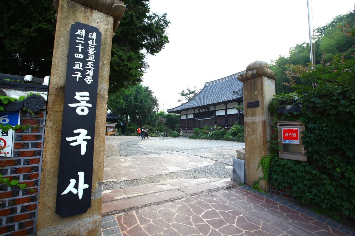 진해군항제 일원 - 국내여행 여행