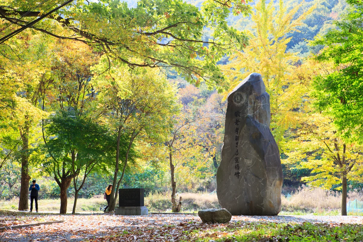 국립 등대 박물관 - 포항여행 여행