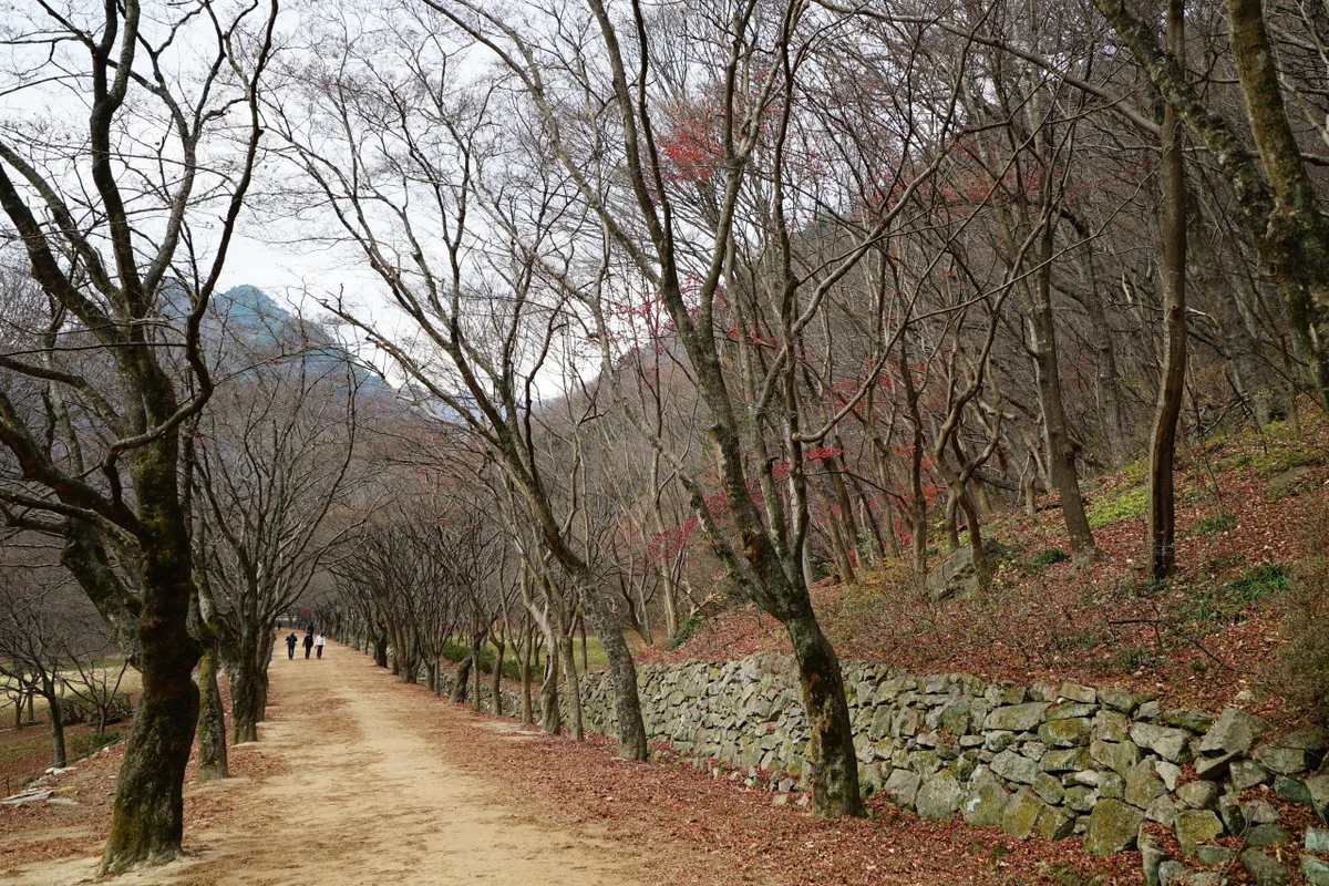 내장산 - 내장산 여행