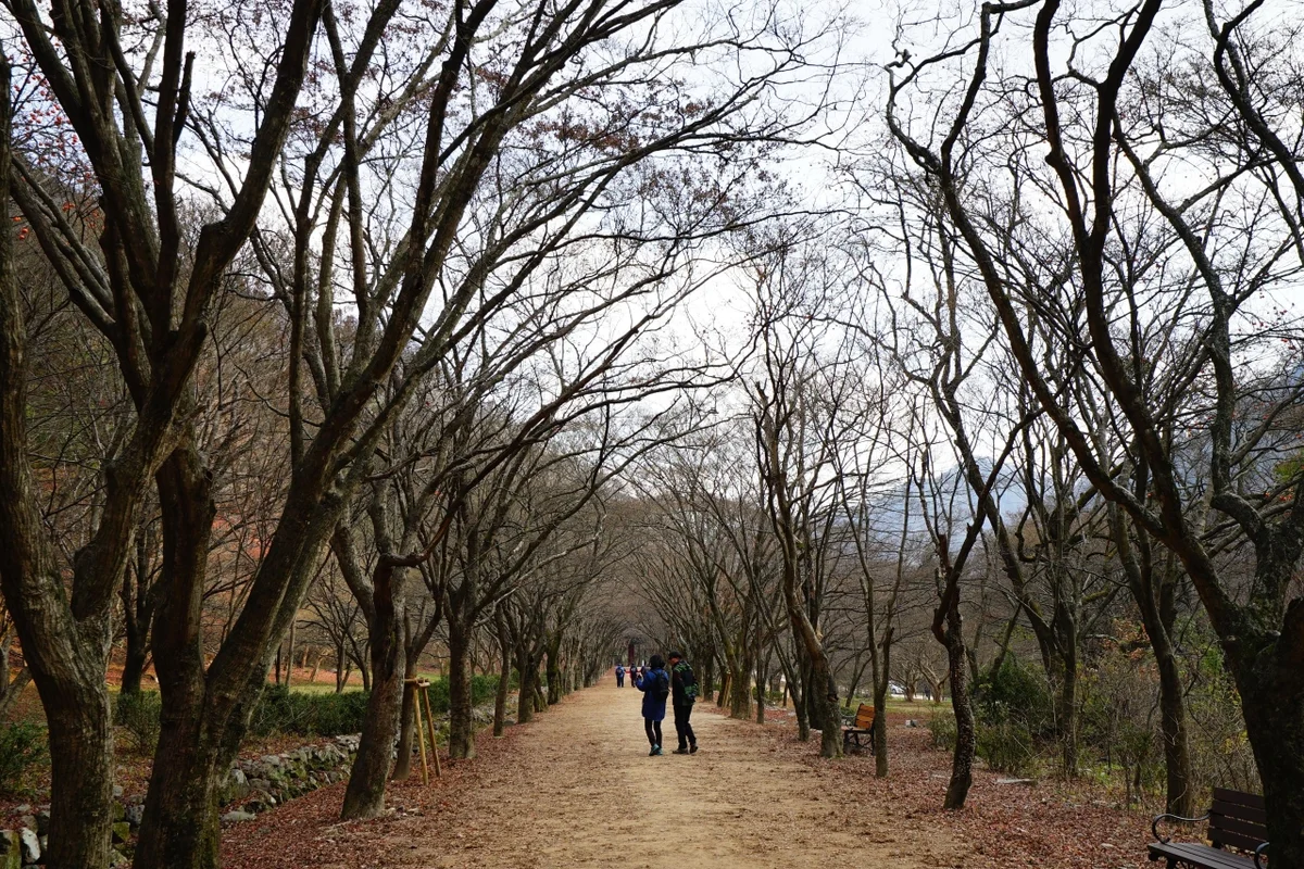 내장산 국립공원케이블카 - 내장산 여행