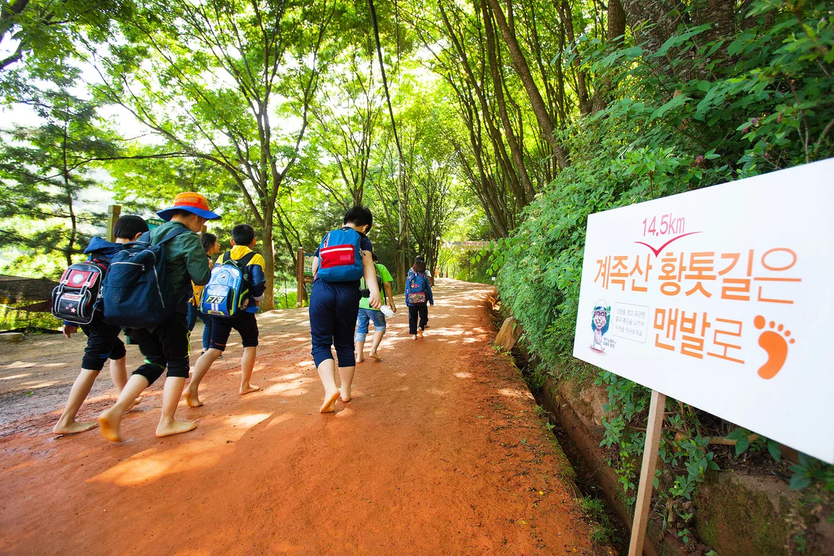 계족산 - 대덕여행 여행