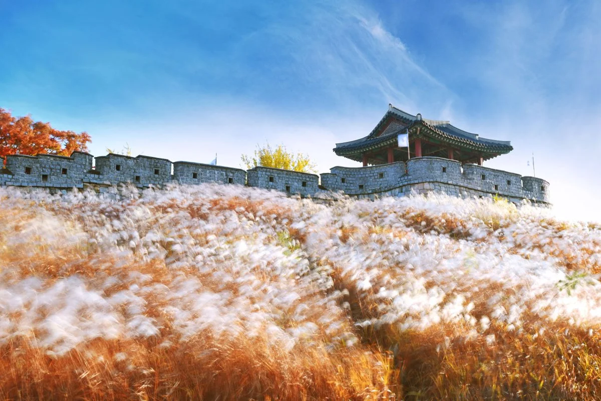 수원화성 - 경기미술관 여행