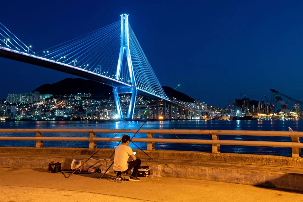 문학산 - 남구 식물원 여행