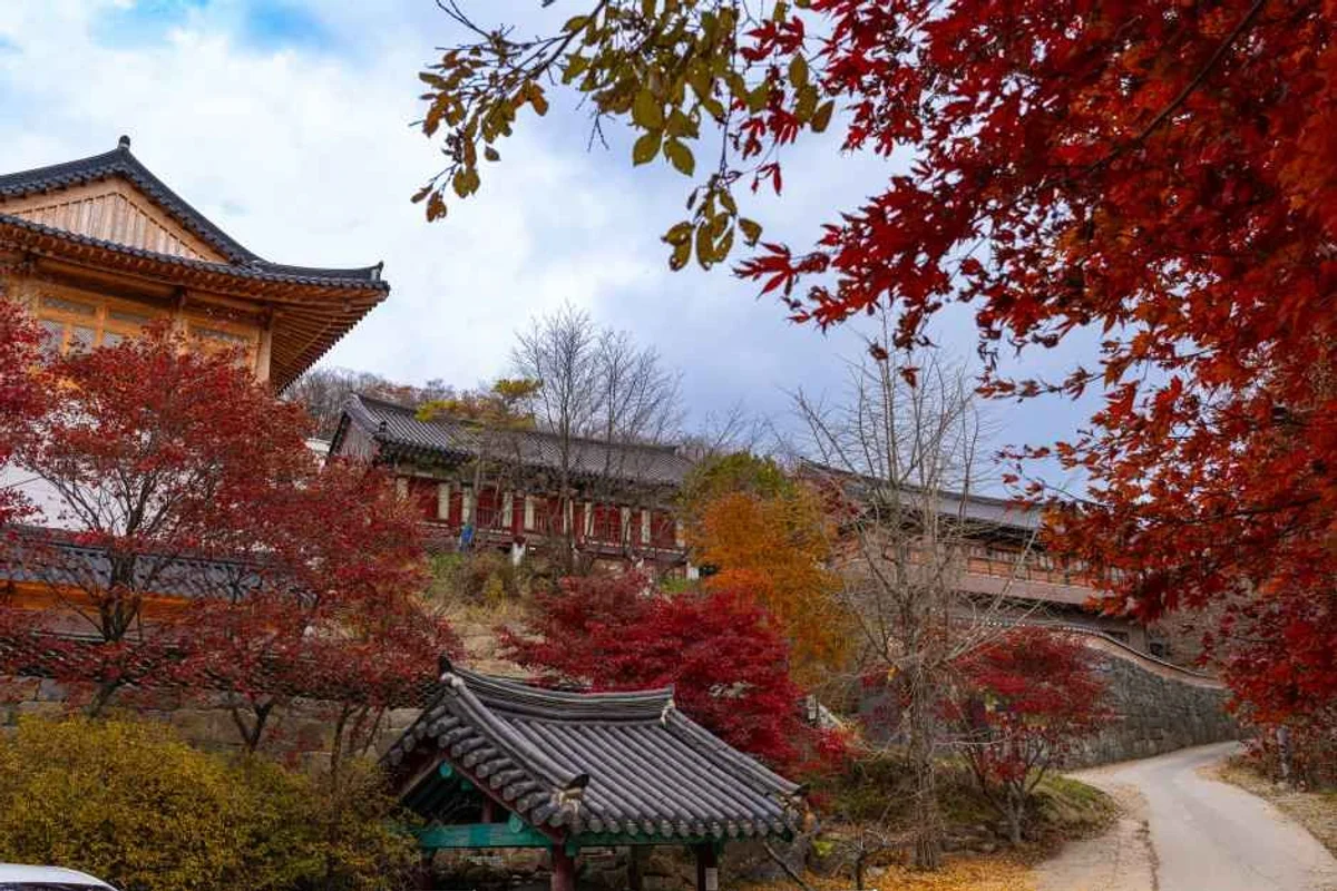 무주 주차 편한 곳 (출처 : 한국관광공사)