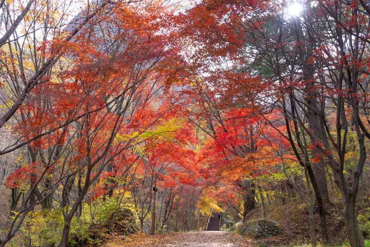 국립진안고원산림치유원 - 진안여행 여행