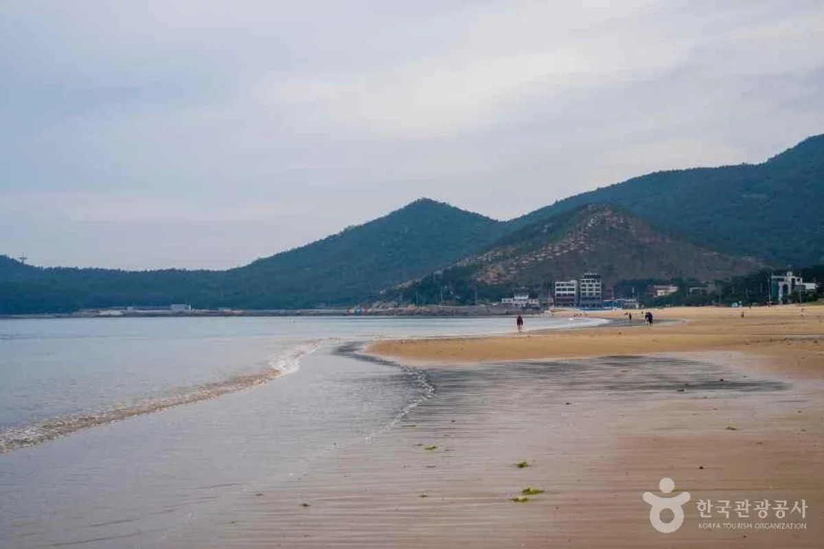 남해 상상양떼목장 편백숲 - 남해여행 여행