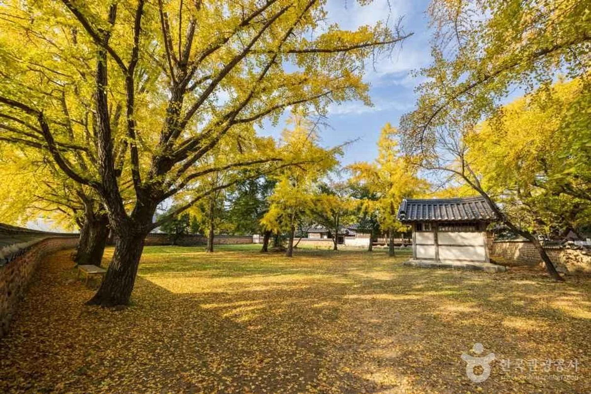 죽도 상화원 - 보령 여행
