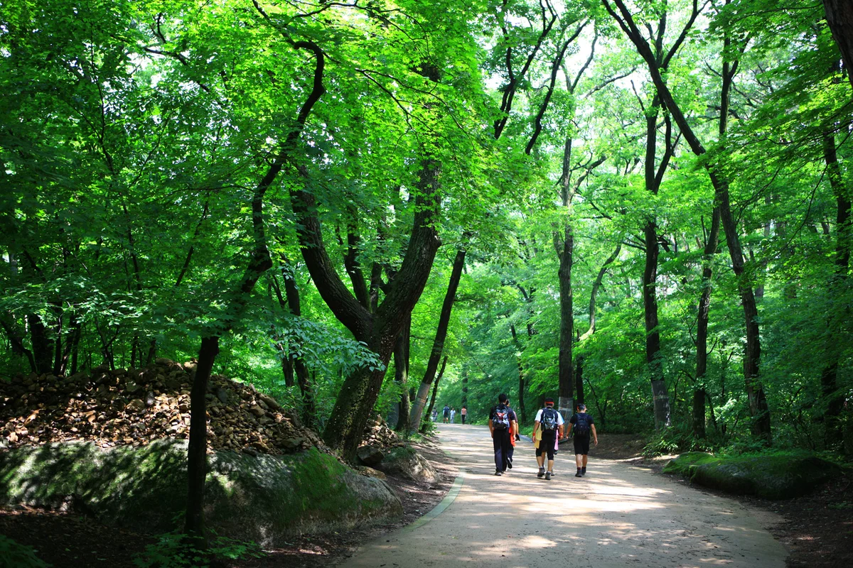 속리산 코스 (출처 : 한국관광공사)