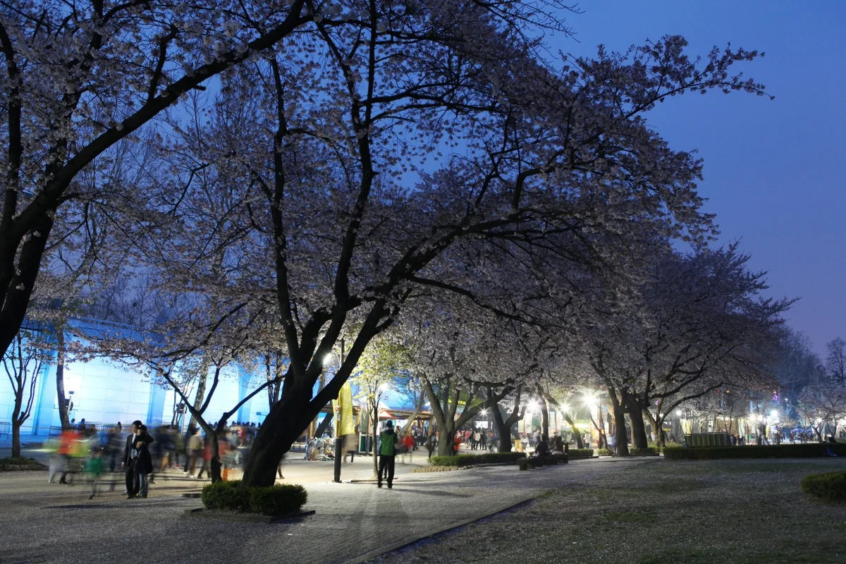 서울어린이대공원놀이동산 - 어린이대공원 여행
