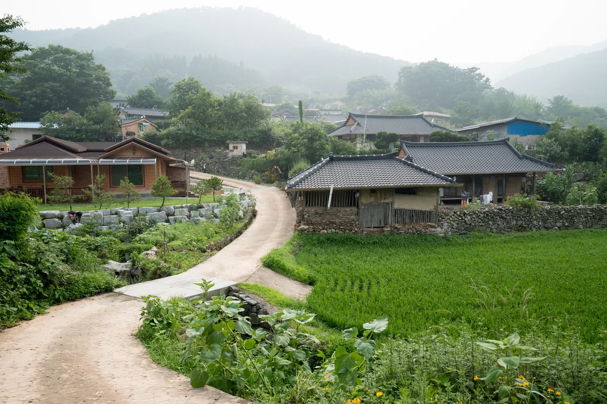 축령산 편백나무숲 - 장성여행 여행