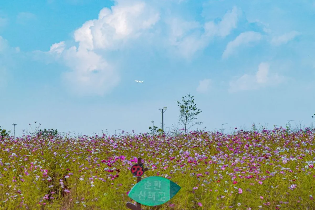 계양 풀빌라 (출처 : 한국관광공사)
