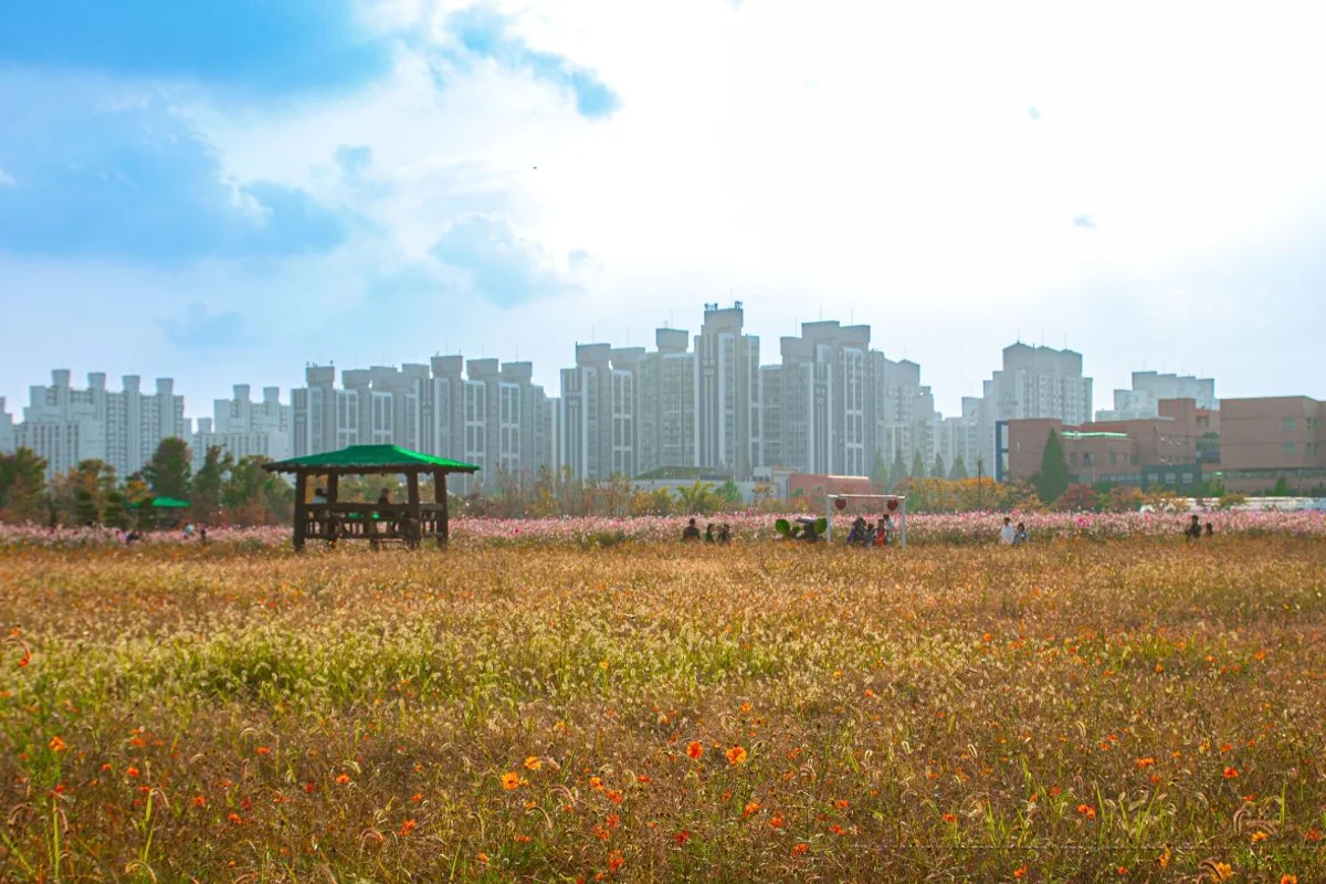팔랑골캠핑장 - 양구 여행