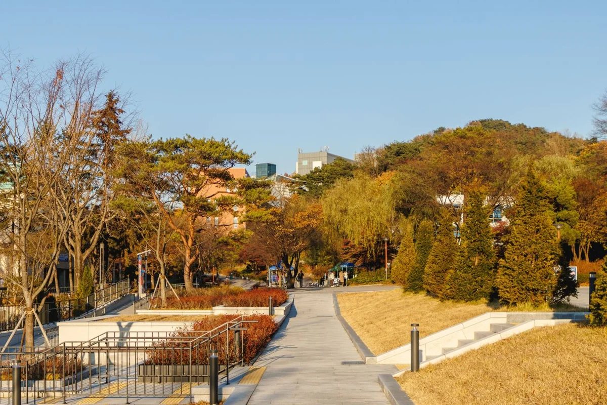퐁퐁플라워 롯데백화점 관악센터 - 관악테마파크 여행