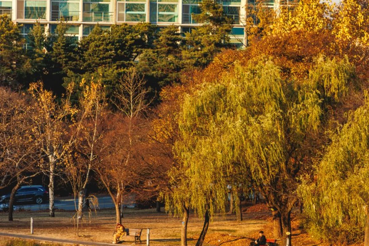 관악파크골프장 - 관악테마파크 여행