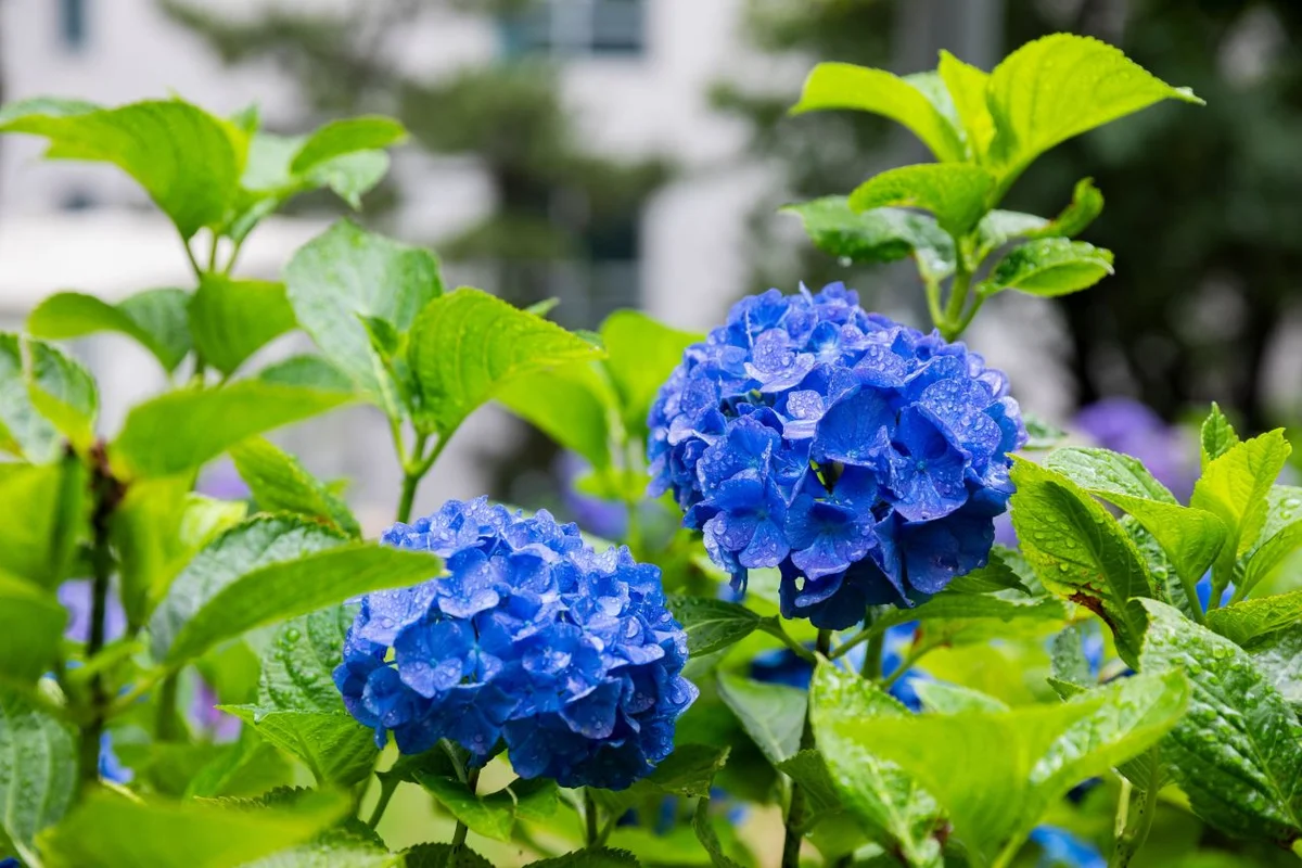 울산 장생포 고래문화마을 - 남구오션뷰숙소 여행