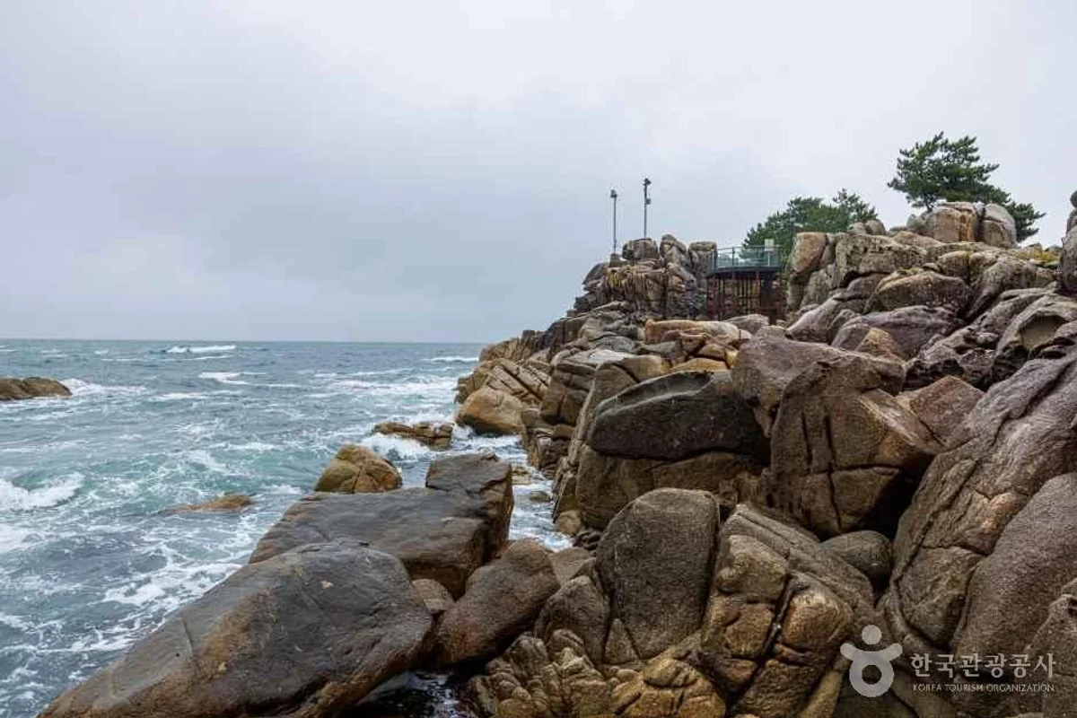 묵호 해랑전망대 - 동해여행 여행