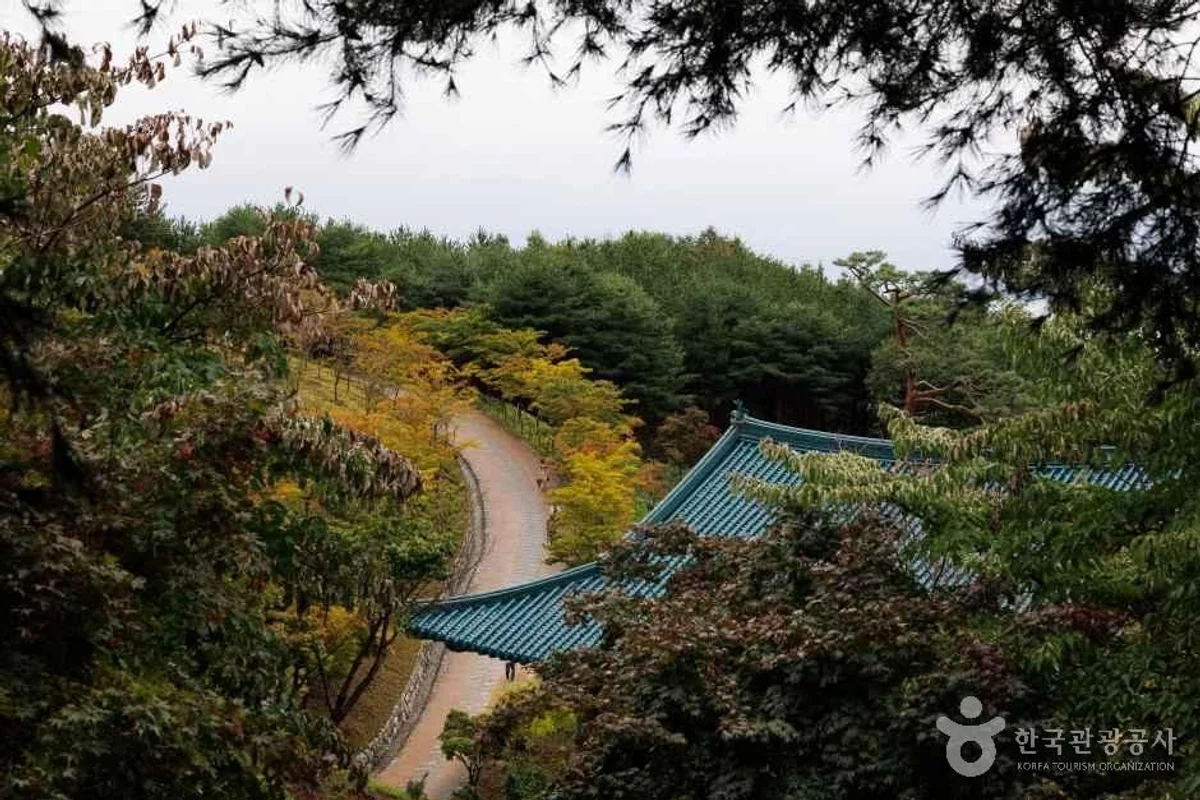 낙산사 - 양양여행 여행