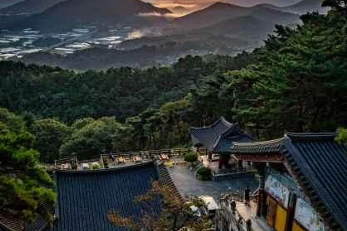 하동십리벚꽃길 - 하동여행 여행