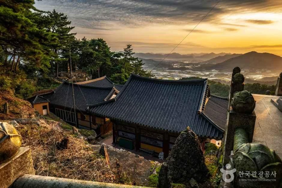 삼신녹차마을 - 하동여행 여행
