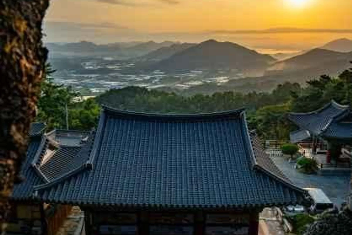 하동야생차박물관 - 하동여행 여행