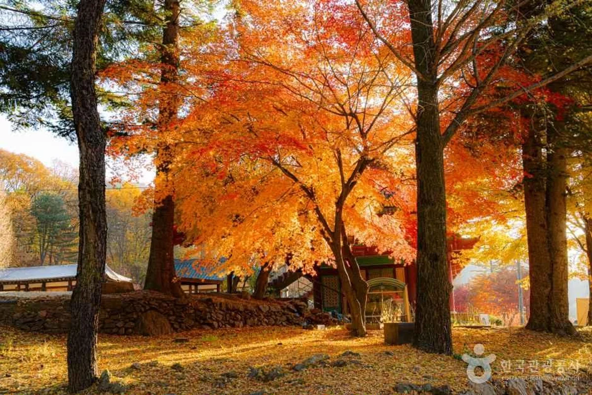 묘적사 - 경리단길 여행
