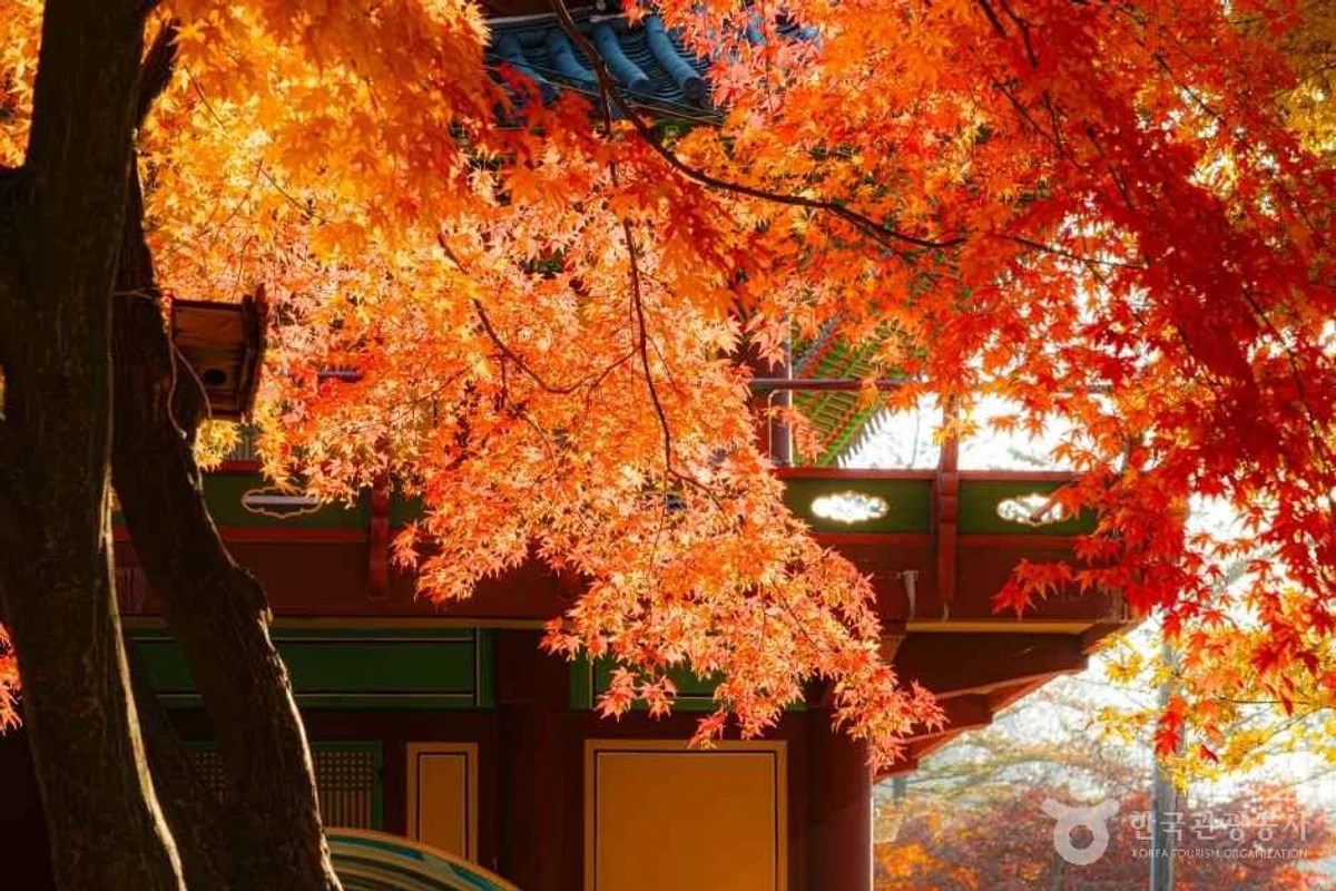 화성시 전곡항 마리나 - 경기여행 여행