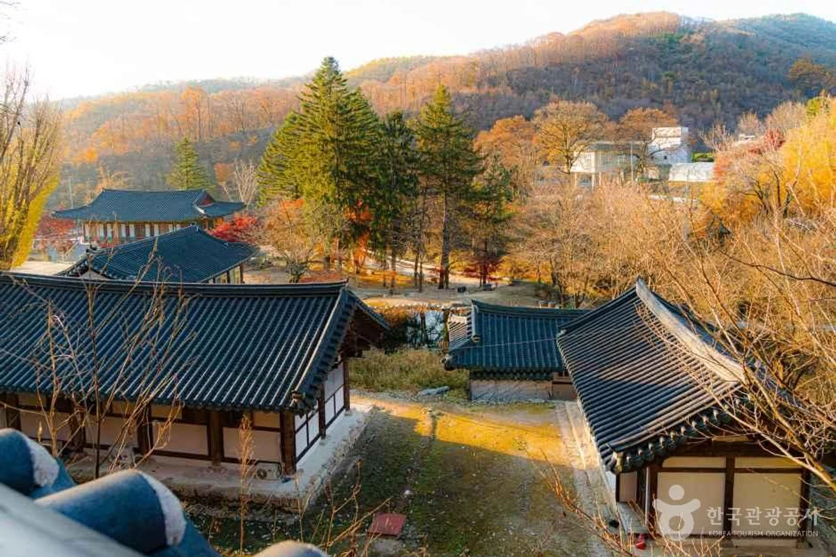 김포시 아라마리나 - 경기여행 여행