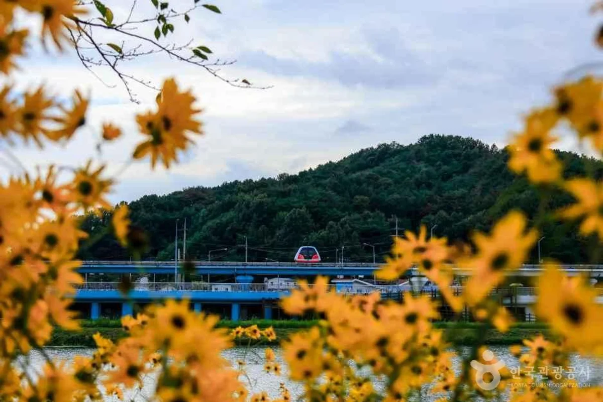 순천만국가정원 해안 산책로 (출처 : 한국관광공사)