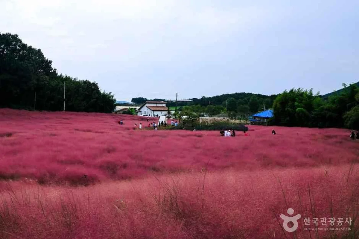 서울어린이대공원동물원 - 건대입구 여행