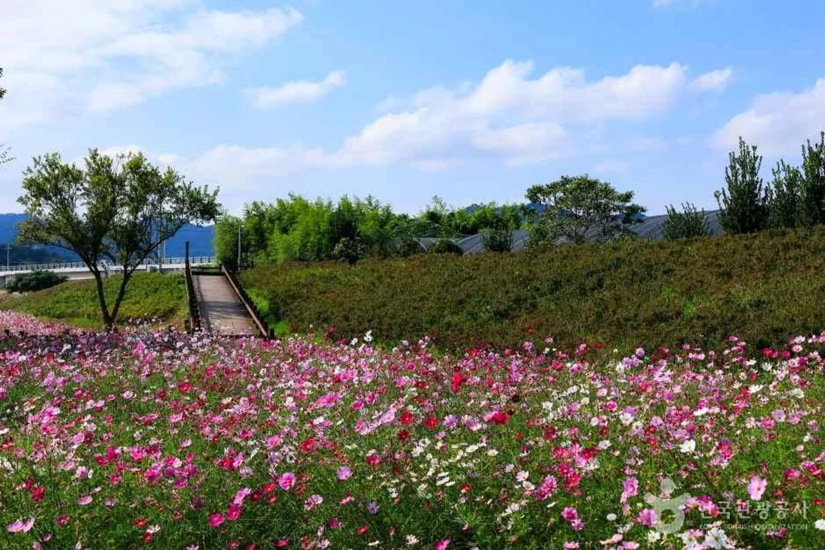 오룡산 - 무안여행 여행
